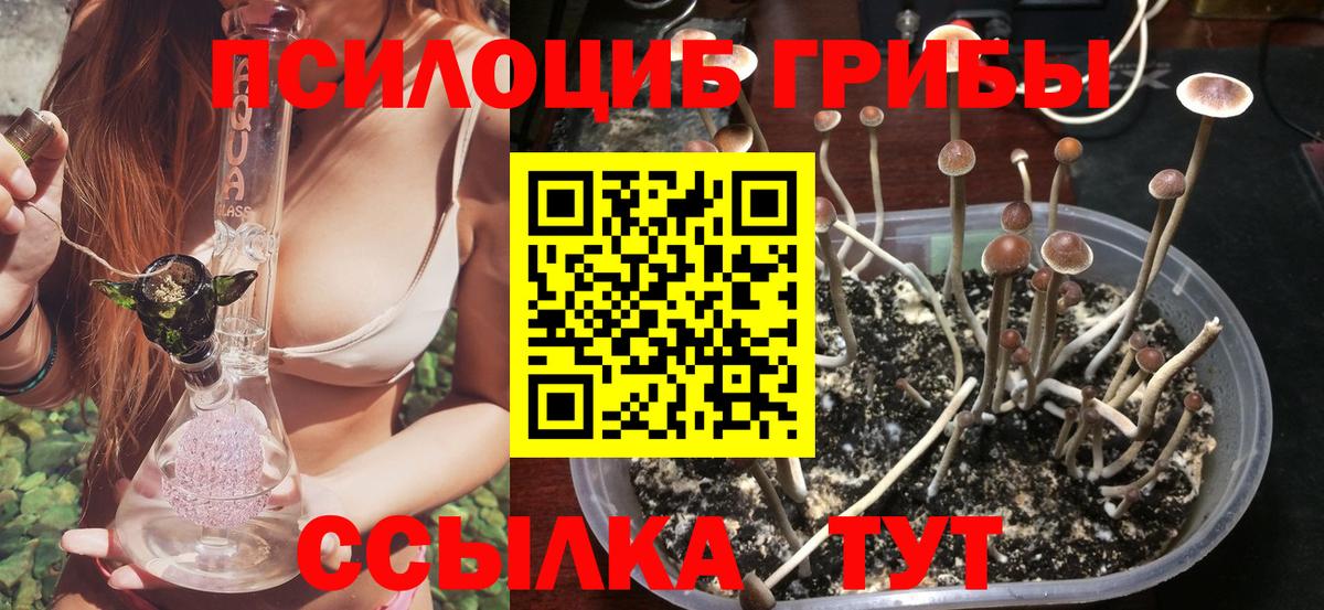 Псилоцибиновые грибы Magic Shrooms Озёрск