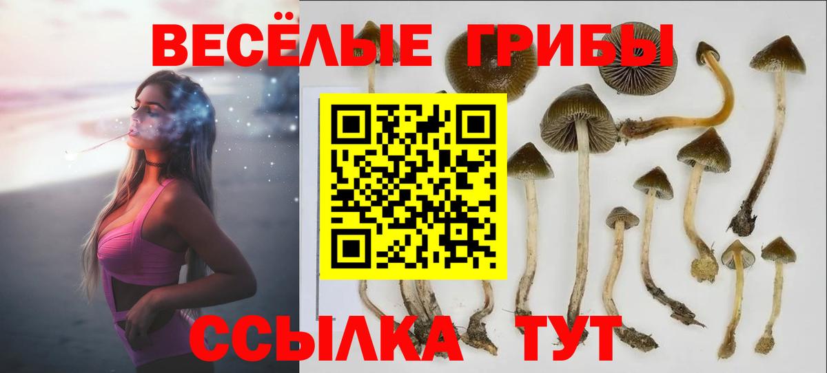 Псилоцибиновые грибы Psilocybe  Галлюциногенные грибы Cubensis  наркота  Вход с VPN  Озёрск 
